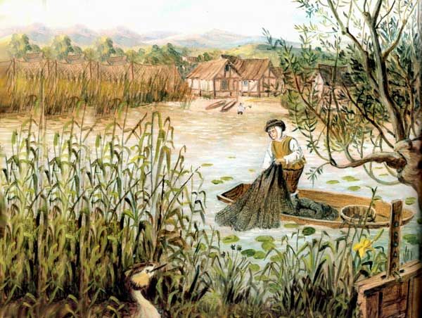 рыбак закинул сети