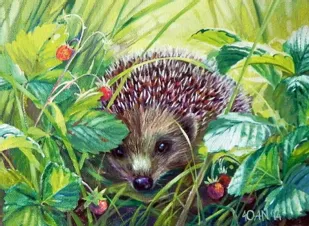 Ёжик Вася и его страх