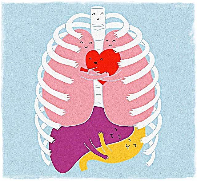 Сказка Как повздорили части тела