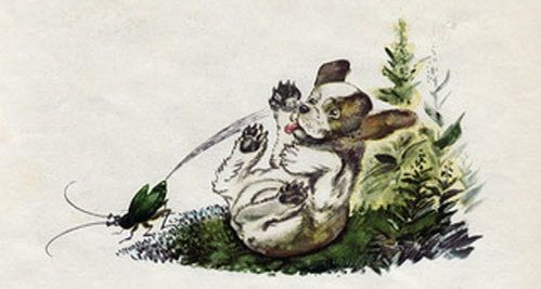 Жук-Бомбардир остановился да как пальнёт в него летучей едкой струйкой