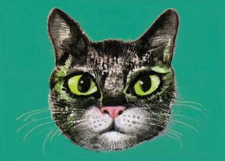 Сказка о принцессе Кошке и кошачьем королевстве