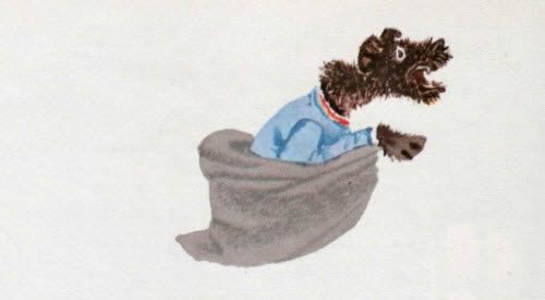 Собака как выскочит